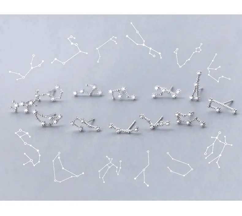 Boucles d’oreilles puces zodiaque en argent 925 MODIAN