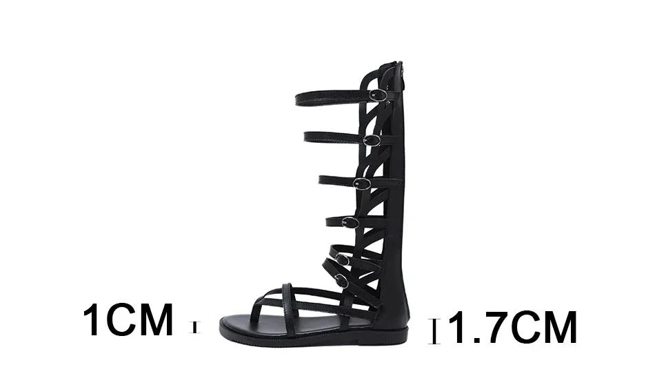 Sandales gladiateur montantes à boucles et zip Gdgydh