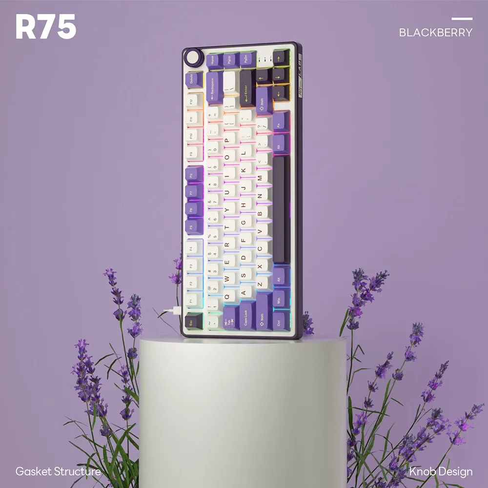 Royal Kludge RK R75 : clavier mécanique 81 touches ABNT2 hot-swap RGB