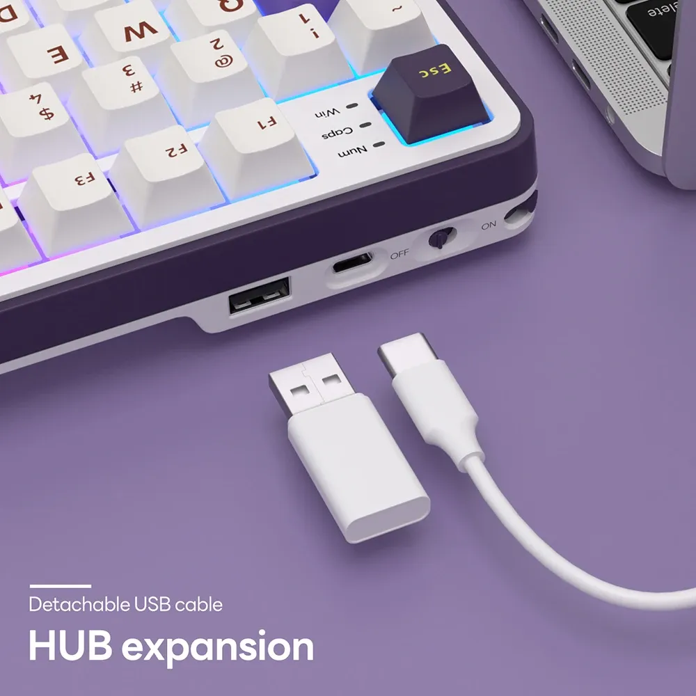 Royal Kludge RK S98 : clavier mécanique sans fil 98 touches avec écran TFT