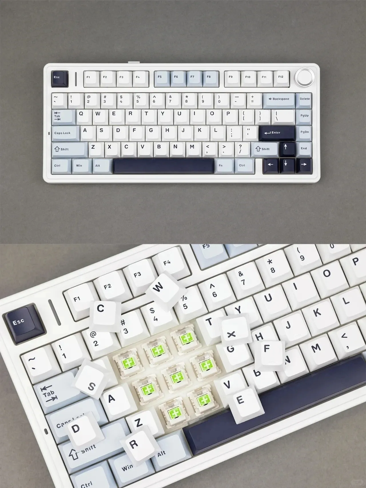 AULA F75 : clavier mécanique tri-mode 75 % à joint et hot-swap