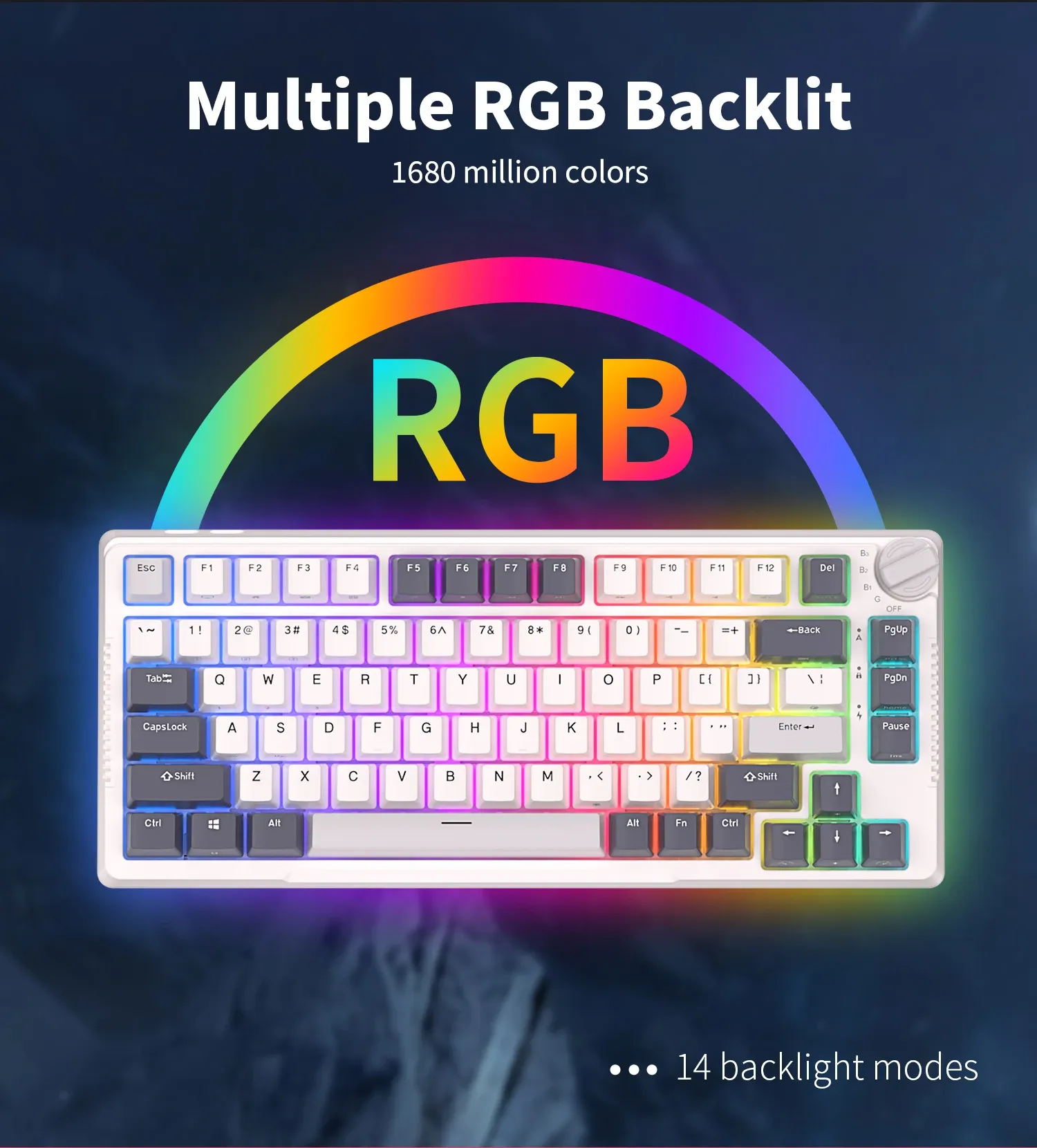 Royal Kludge H81 : clavier mécanique compact tri-mode à structure gasket