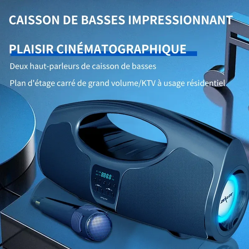 Enceinte portable Zealot P1 40 W avec micro et double appairage